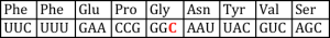 Notice how the structure of the gene product is unchanged. This happens because all amino acids can be encoded by more than one triplet codon.