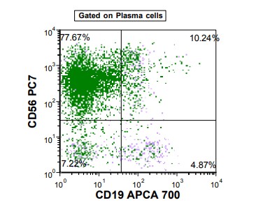 hairycellplasmacellgate